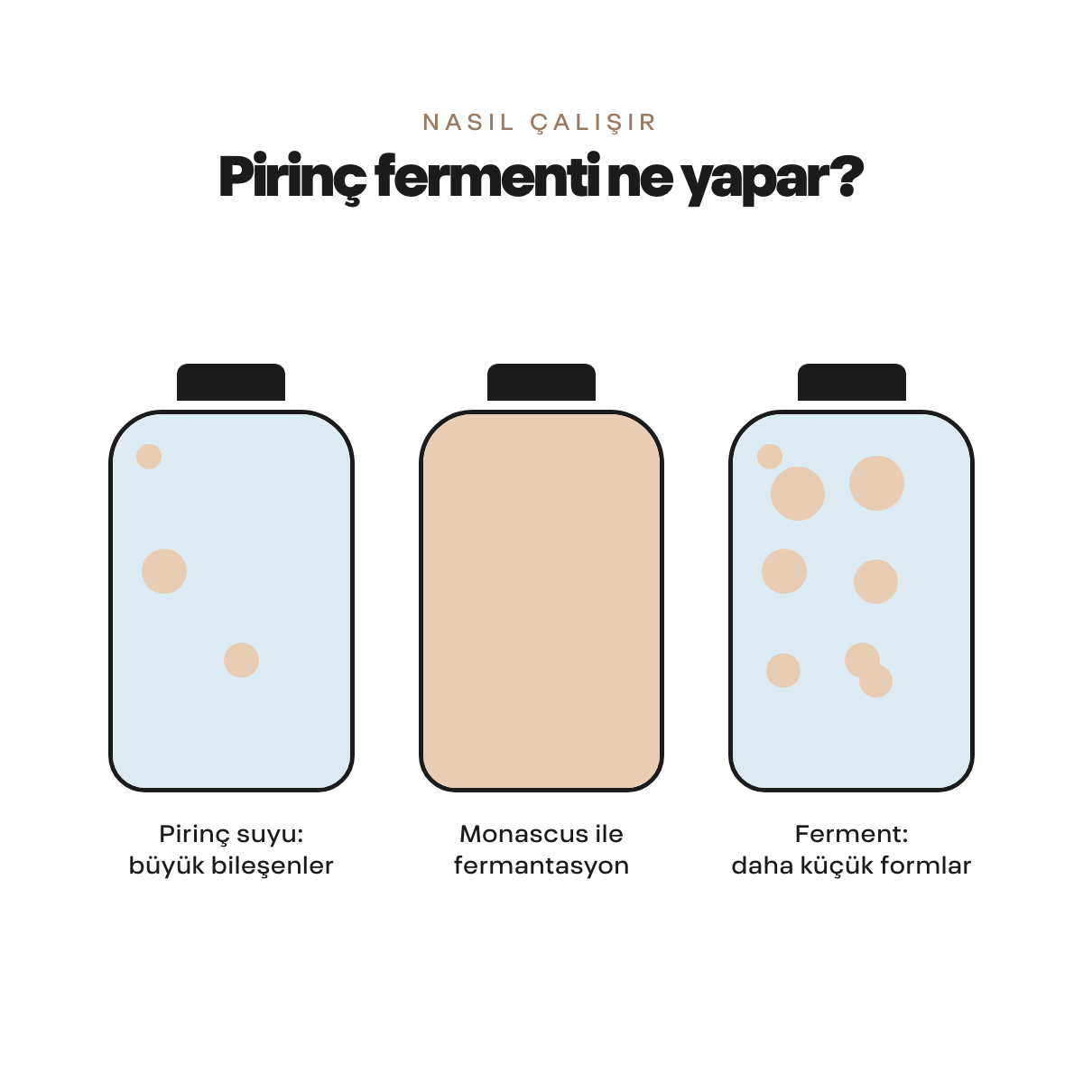 Salsarang Rice Balance Personal Glow Essence Pirinç Kepeği Esans Aydınlatıcı Dengeleyici Kore 120ml