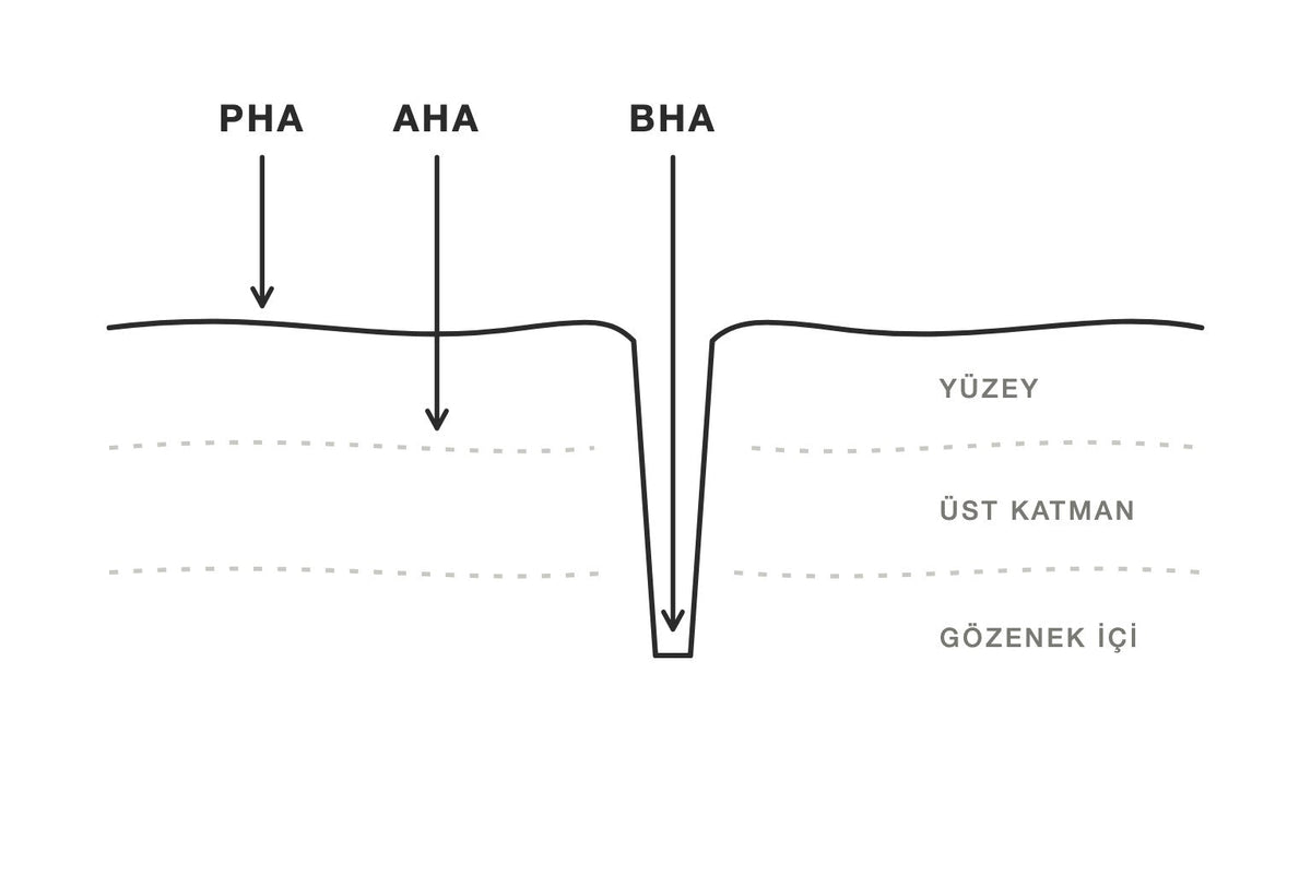 AHA, BHA ve PHA'nın ciltte etki ettiği katmanları gösteren çizim