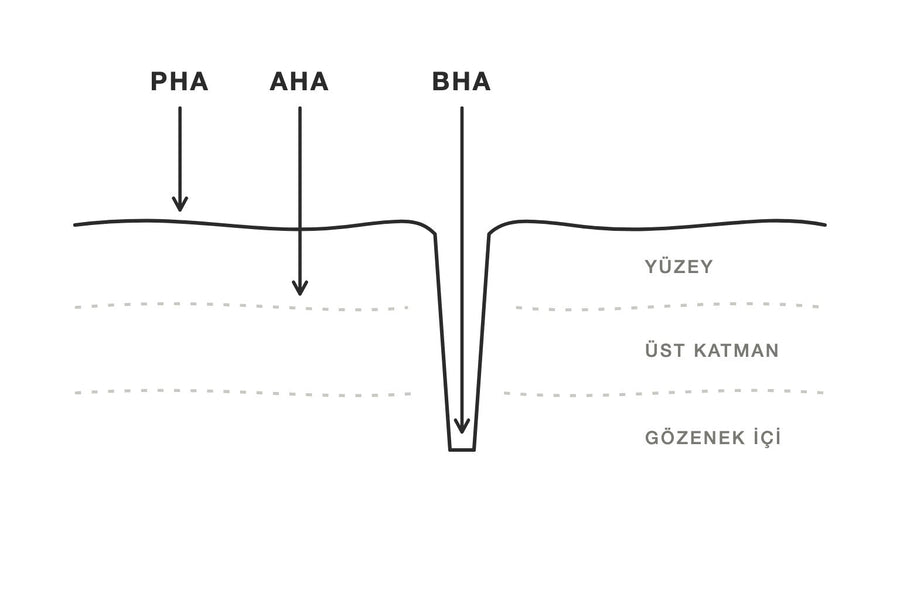 AHA, BHA ve PHA'nın ciltte etki ettiği katmanları gösteren çizim