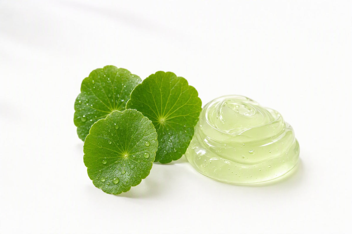 Centella asiatica yaprakları ve yeşil jel dokusu