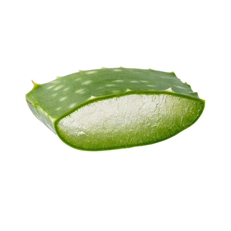Aloe Vera Yaprağı Özü