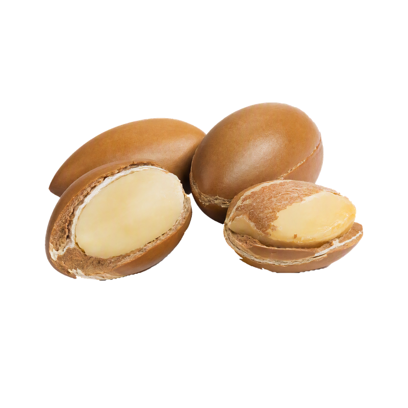 Argan Yağı