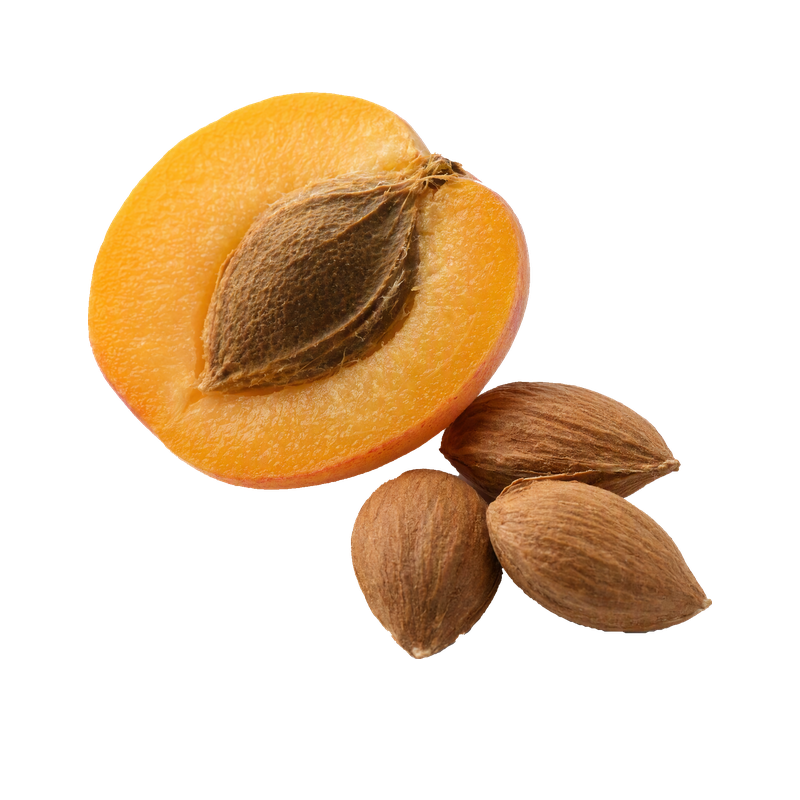 Kayısı Çekirdeği Yağı